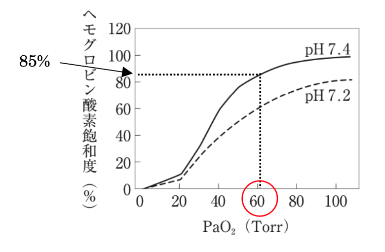 解説画像